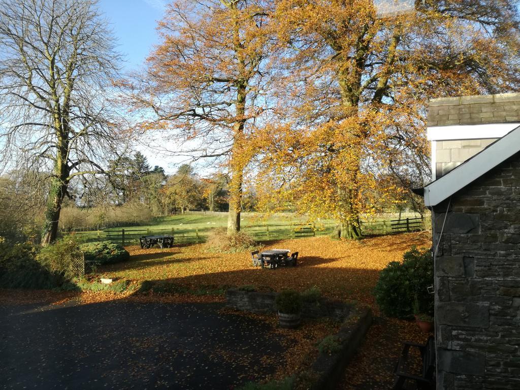 Swansea Valley Holiday Cottages Cilybebyll Exterior foto